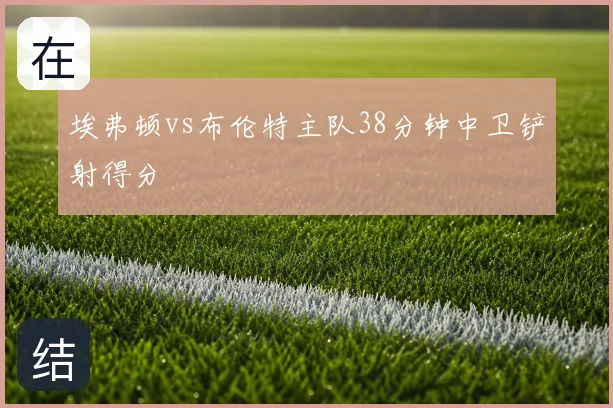 埃弗顿vs布伦特主队38分钟中卫铲射得分